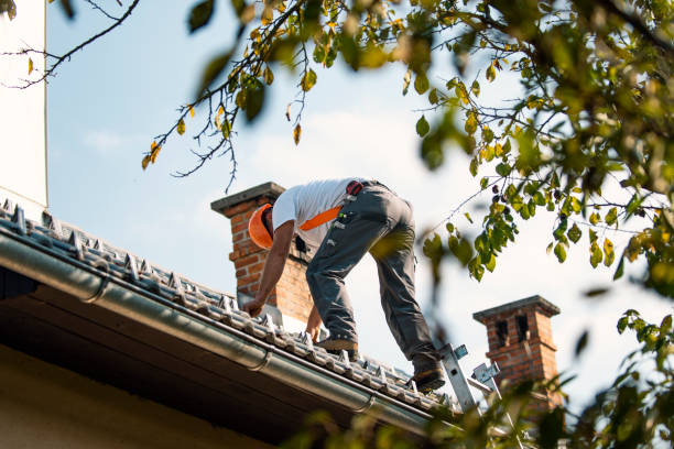 Best Roof Repair Services  in Caledonia, WI